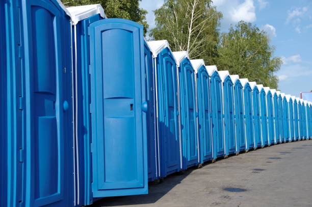 Best Sanitation services for porta potties  in Ithaca, MI